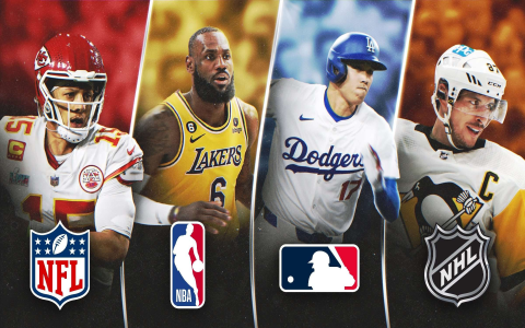 Deep Dive into NFL Fan Demographics: A Fan Profile