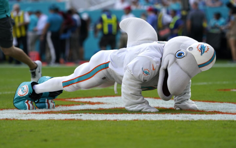 Highest Paid NFL Mascot Get the Inside Scoop Now!