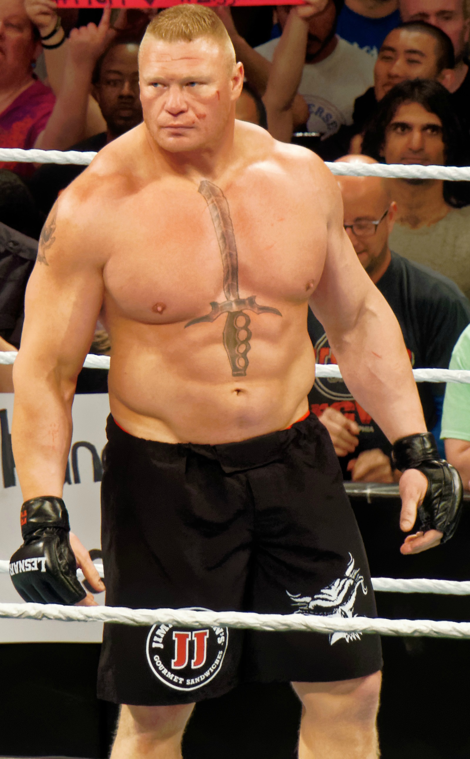 How long did Brock Lesnar play in the NFL (Learn about his football journey here)