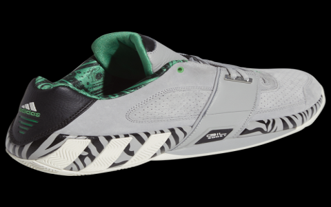 Gilbert Arenas Sneakers: Top Non Basketball Shoe Picks