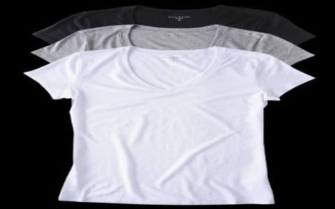 Womens Sports T Shirts: Find Your Perfect Fit for Less!