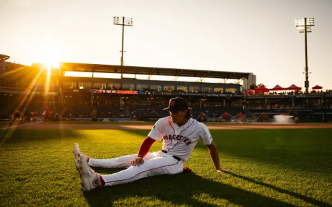 Fantasy Baseball Player Ratings: The Ultimate Guide for Your Draft Success!