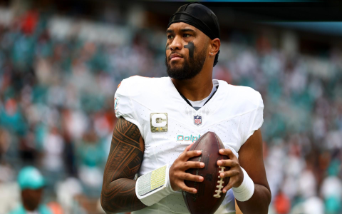Where to Play Fantasy Football: The Ultimate Fantasy Football Website Guide!