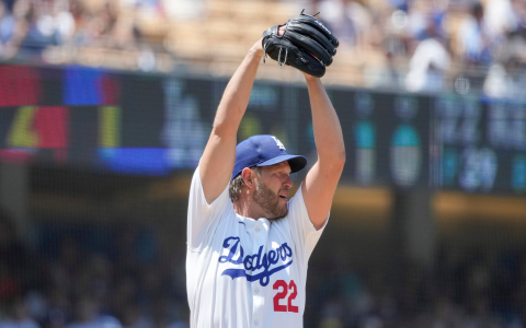 Draft Wizard Baseball: User Reviews (Honest Feedback to Help You Decide)