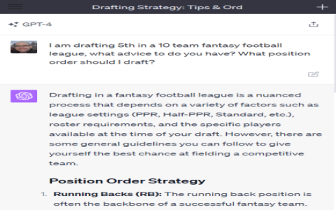 Fantasy Football tips: What is the best strategy for beginners?