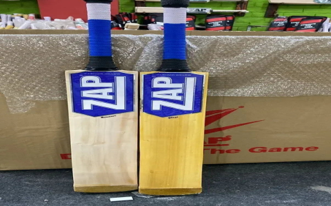 Hard Tennis Ball Cricket Bat: Which One Is Best for You? Top Picks and Reviews!
