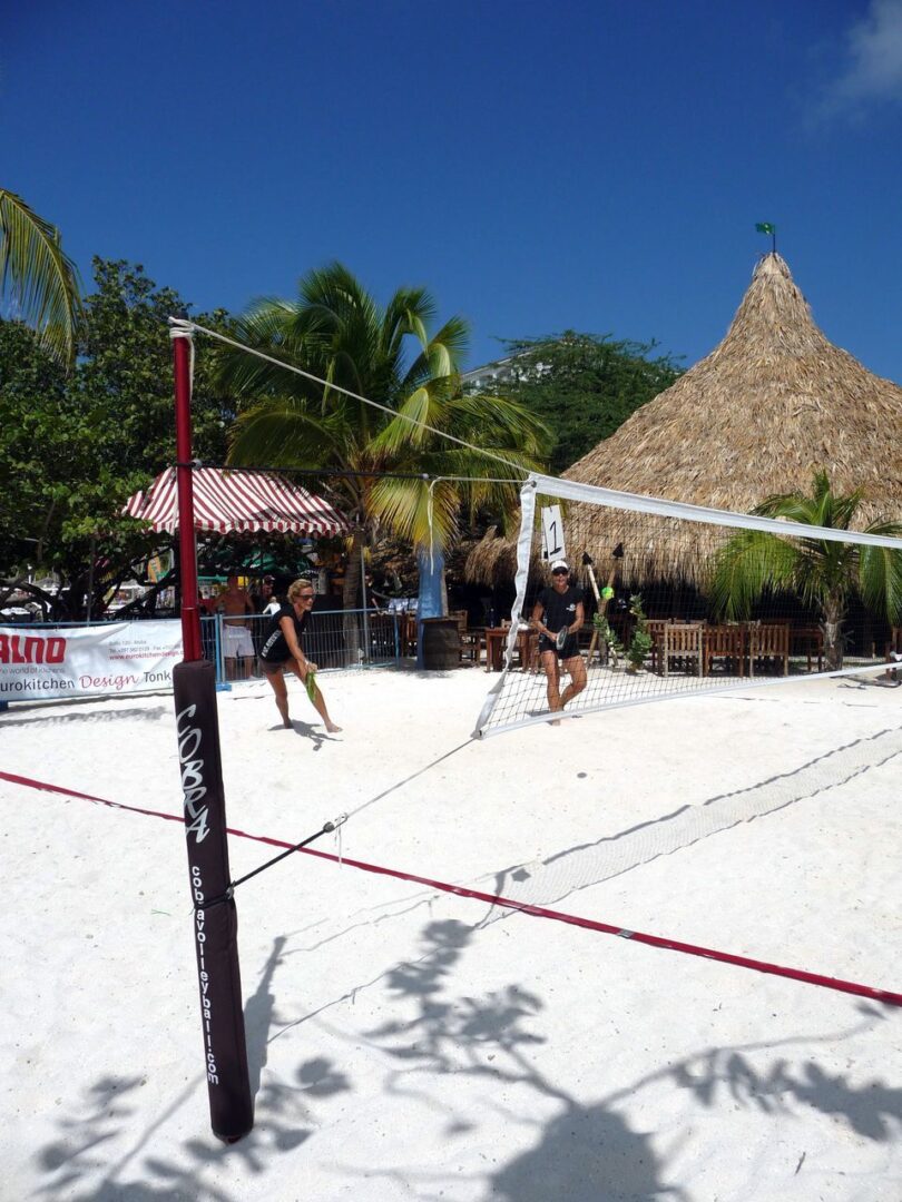 Best Beach Tennis Net: Top Picks for Every Budget (Reviews and Comparisons)