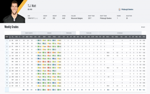 Fantasy Football Ratings Explained: A Simple Guide to Understanding Player Values and Projections!