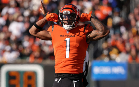 Winning NFL Fantasy Picks 2024 Guide (The Ultimate Cheat Sheet for Beginners)