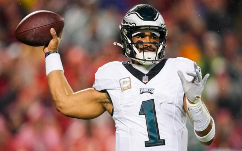 nfl fantasy league rankings revealed, get the best players in your team!