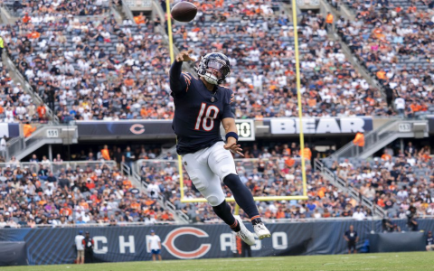 Understanding espn fantasy football adp? Find out your best player!