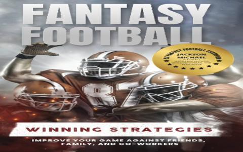 NFL PPR Rankings Explained: Easy Guide for Fantasy Football Beginners & Pros