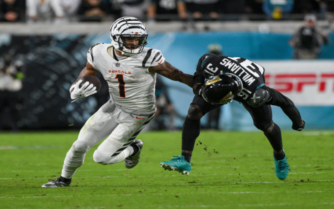 Fantasy Football Rankings Draft: Easy Tips and Pro Player Insights!