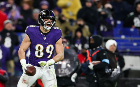 NFL Fantasy Football Best Picks and Players values for Every Round!