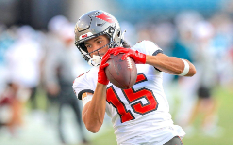 Top Fantasy Football Player Rankings Pre Draft: Win Your League!