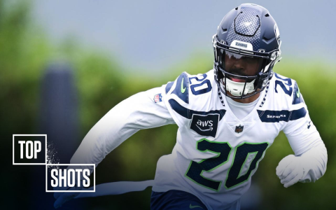 NFL Best Fantasy Draft Picks: Top Players You Need to Know! (Tips for Beginners)