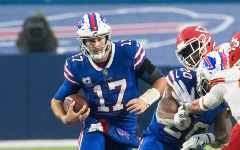 Updated NFL Fantasy Rankings PPR :Dominate Your League Now!