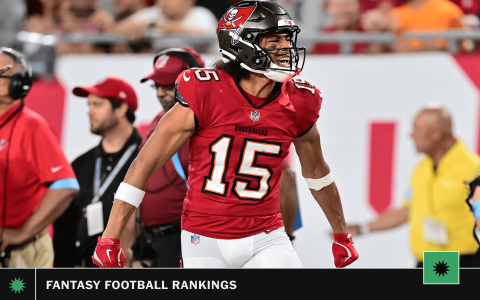 Fantasy Football Rankings Just In! See Whos Hot Right Now!