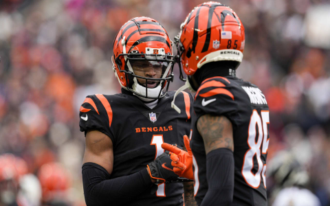 Updated NFL Fantasy PPR Rankings: Dominate Your League Now!