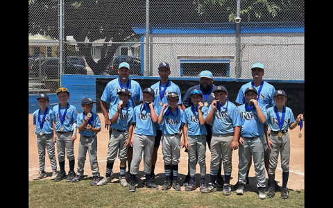 Spring 2025 Pony Baseball Age Chart: Check eligibility here!