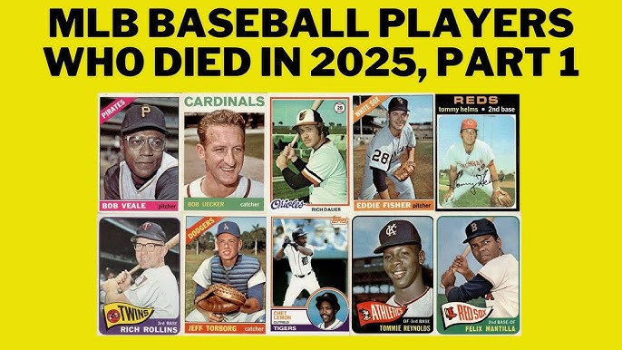 How to Stay Safe? Lessons Learned from 2025 Baseball Deaths