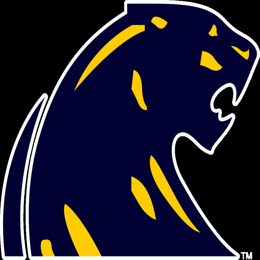 Dewitt high school football score history and past game recaps.