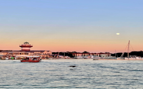 Best time for Hilton Head tennis and beach resort for sale? Market tips to grab it.