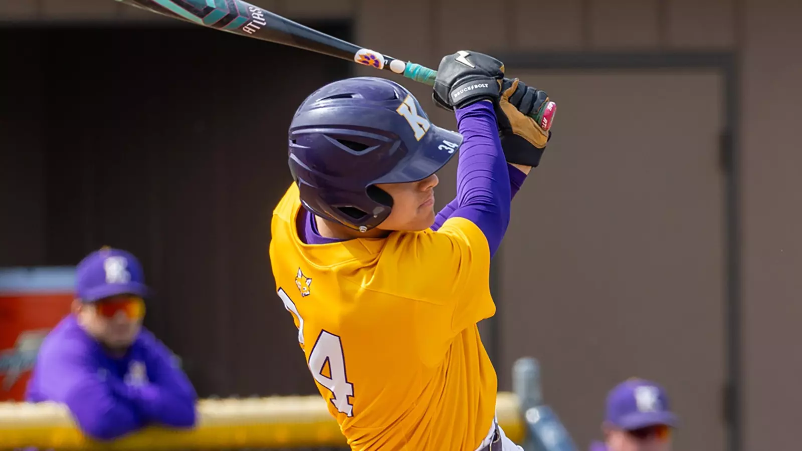 Knox College 2025 Baseball Season Check All Upcoming Games Now