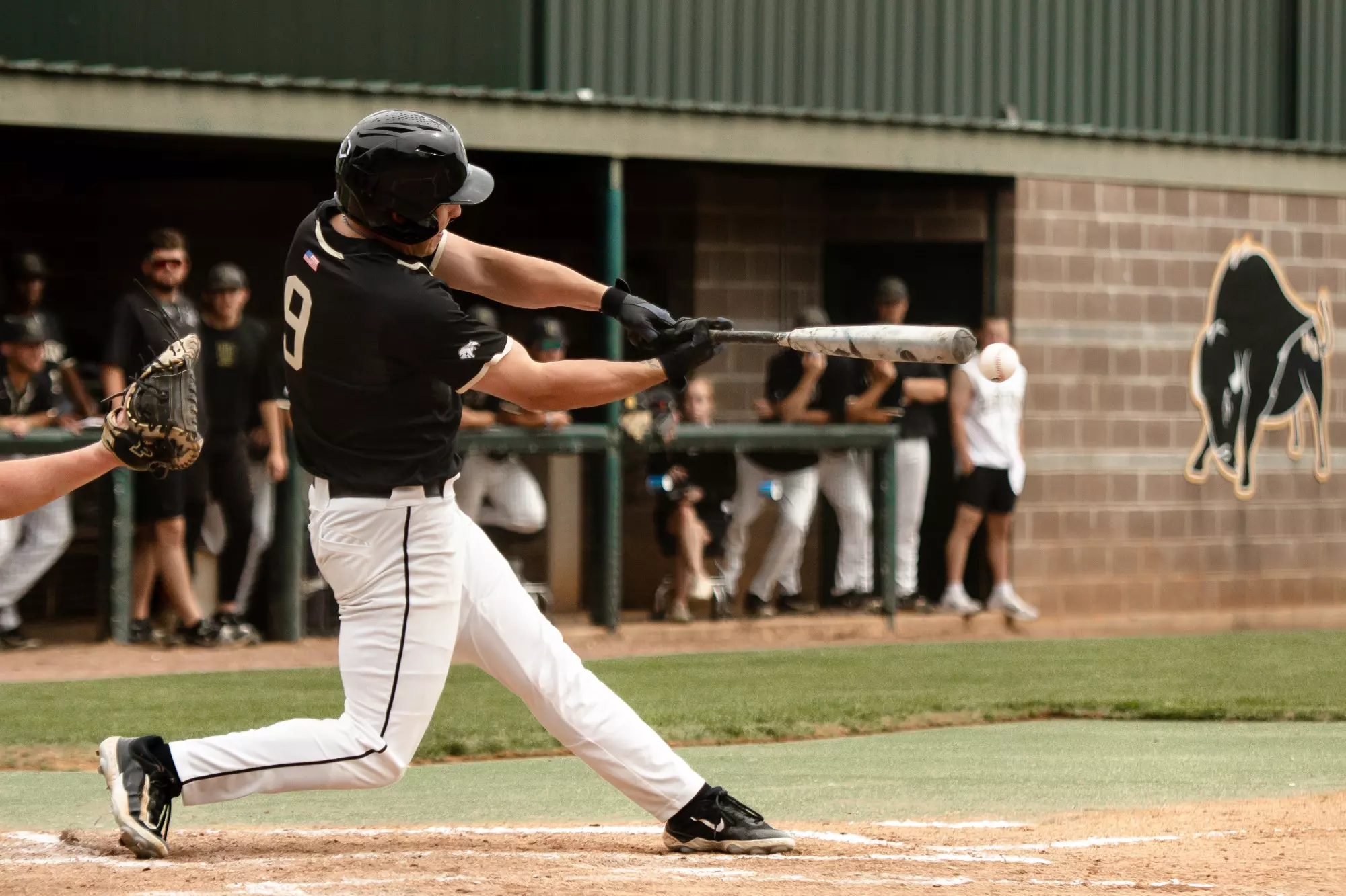 How to find Harding baseball schedule 2025 (easy search tips here)