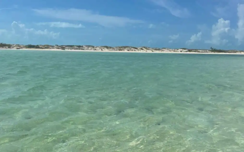 Where to play Nox Beach Tennis? Top beach spots near you revealed!