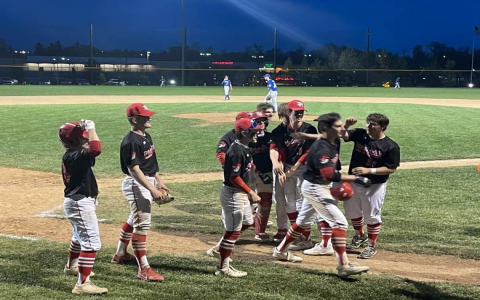 Key dixie youth baseball rules 2025 updates - pitching and batting changes this season