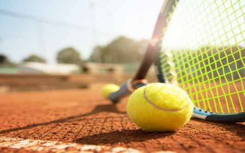 Why Pick a Blue Tennis Bag Key Benefits and Player Recommendations