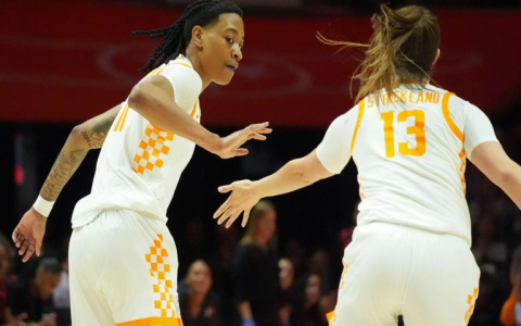 MEAC Womens Basketball Tournament 2025 Bracket Predictions Who Wins