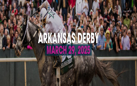 Whats Fun at Hot Springs Baseball Weekend 2025? Top Events & Games List